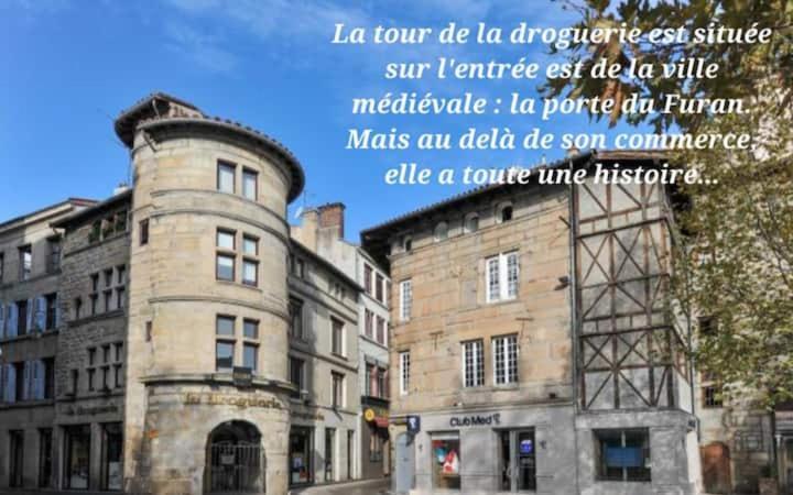 Pres De St Etienne Et Du Parc Naturel Regional Du Pilat Villa *